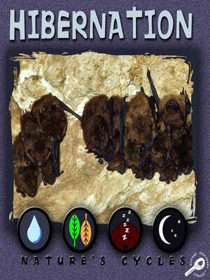 cover image of Hibernation